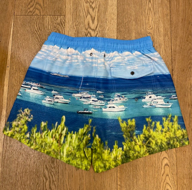 Parker Point Photographic Boardshorts